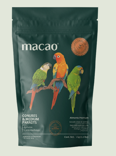 CONURES & MEDIUM PARROTS