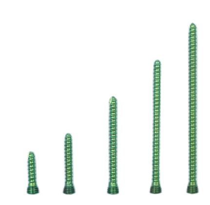 Tornillos/Pernos de Bloqueo tipo AO