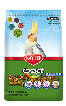 Exact Rainbow Ninfa