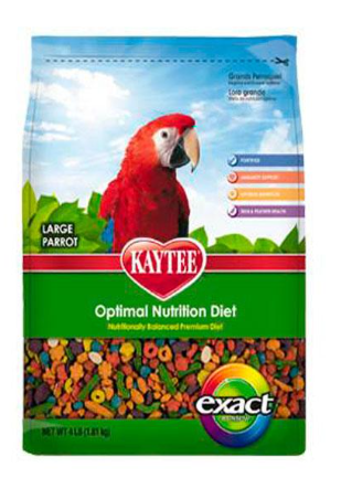 Exact Rainbow Guacamaya/Cacat úa