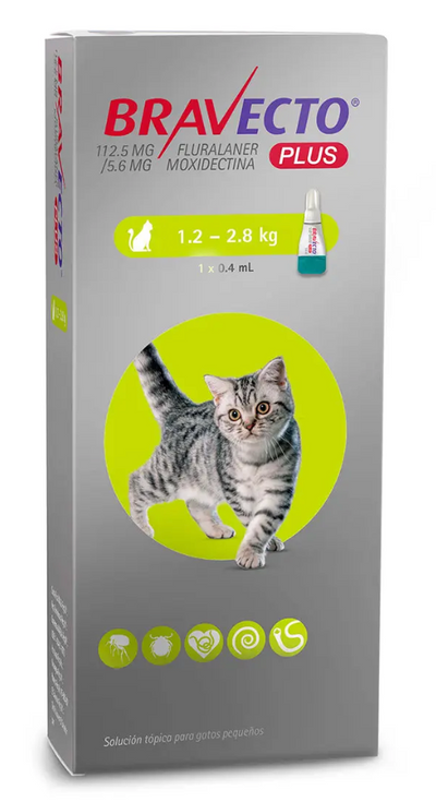 BRAVECTO PLUS GATO - MSD