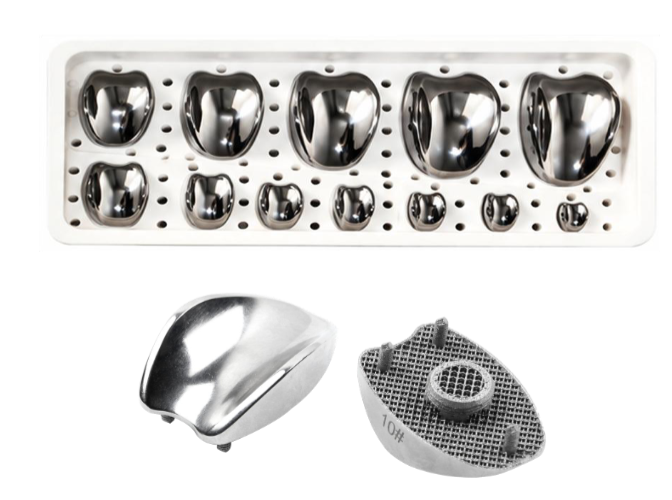 Estuche con prótesis PGR -Toolmed Medical Instrument