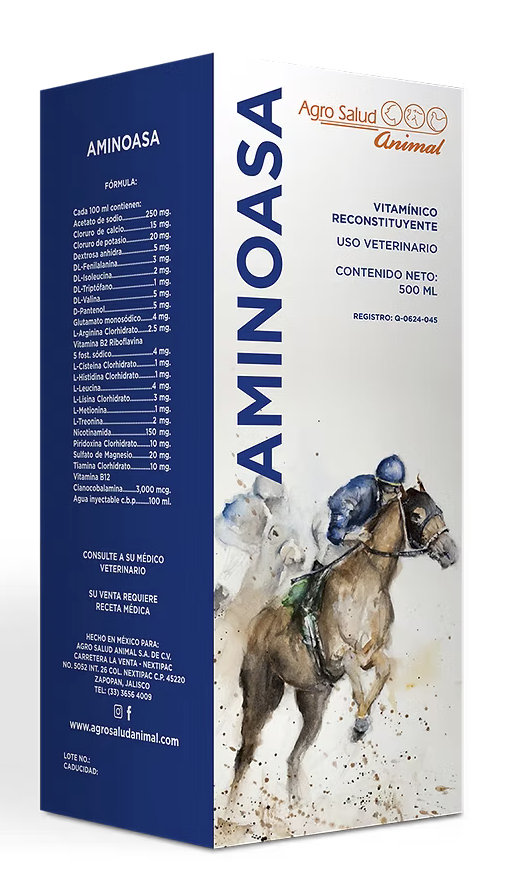 AMINO ASA INY 500 ML -AGRO SALUD