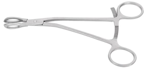 Pinza BW para Sujeción Ósea -Toolmed Medical Instrument
