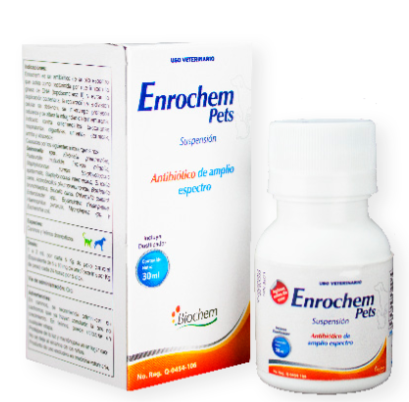 Enrochem Pets 30 ml (Enrofloxacina) -Biochem