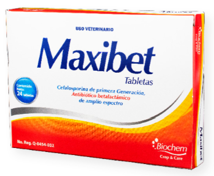 Maxibet 24 tabs (Cefalexina) -Biochem