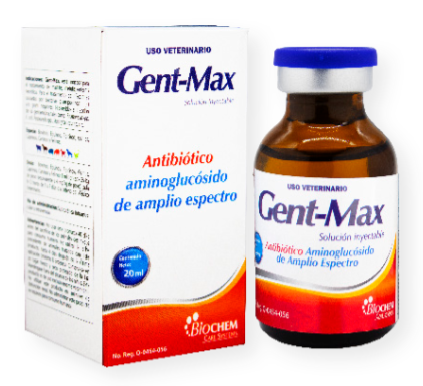 Gent Max (Gentamicina) -Biochem