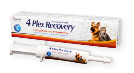 4 plex recovery (Multivitaminico) -Biochem
