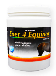 Ener 4 Equinox 1 kg (Multivitaminico) -Biochem