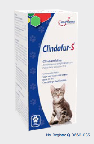 Clindafur-S 30 ml (Clindamicina ) -INNOPHARMA