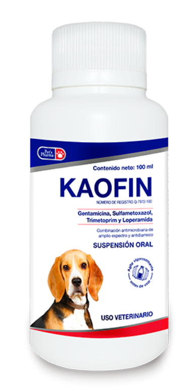 KAOFIN (Gentamicina • Sulfametoxazol • Trimetoprim • Loperamida • Caolín • Pectina) -PETS PHARMA