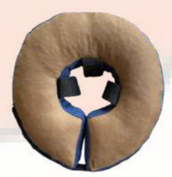 Collar Isabelino Dona -FANCY PETS