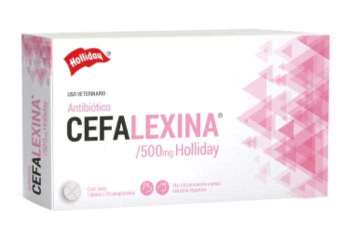 CEFALEXINA 500 (Cefalexina) – HOLLIDAY