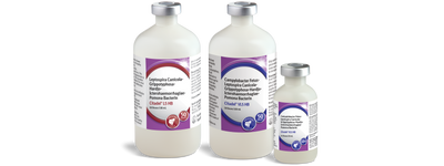 LEPTO 5 CITADEL ANCHOR