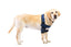 CODERA DOBLE SOPORTE PROTECTOR DE CODO - ORTOVETS