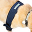 CODERA DOBLE SOPORTE PROTECTOR DE CODO - ORTOVETS