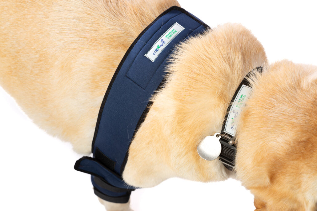 CODERA DOBLE SOPORTE PROTECTOR DE CODO - ORTOVETS