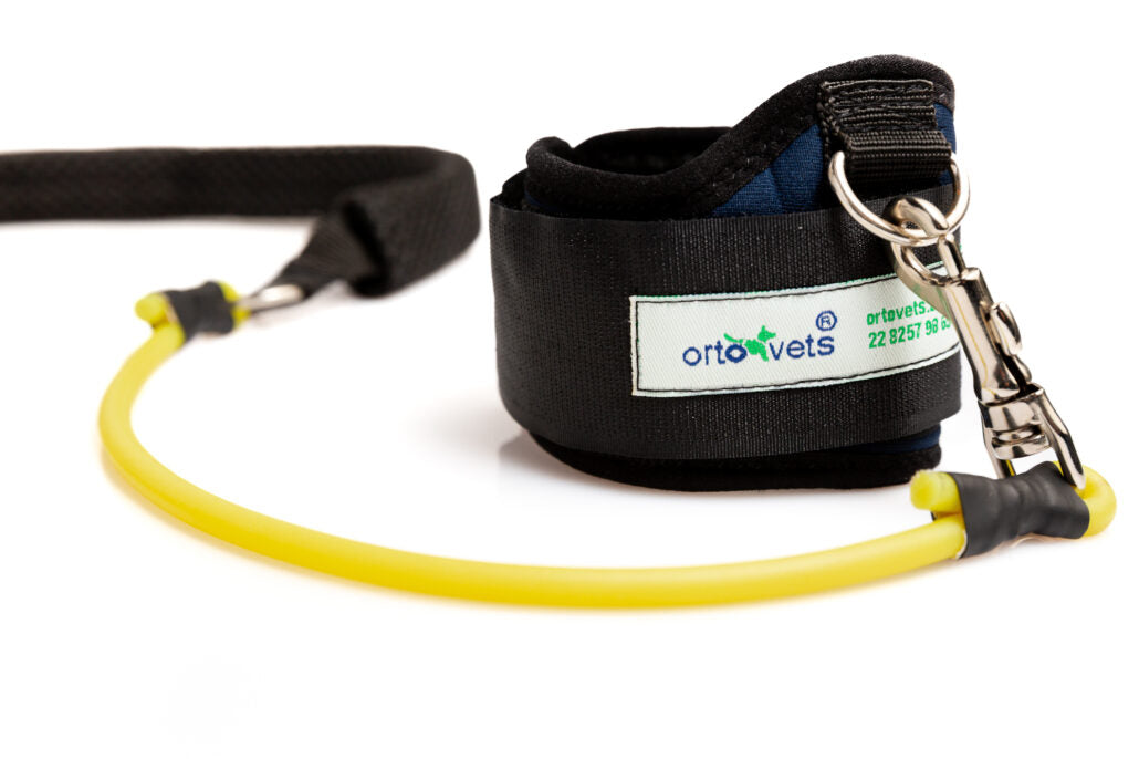 CORRECTOR-FACILITADOR DE MARCHA  PARA MIEMBRO POSTERIOR - ORTOVETS