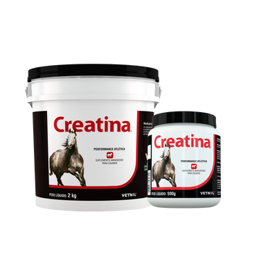 CREATINA  VETNIL LÍNEA EQUINOS