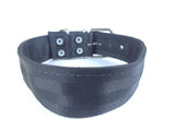 COLLAR DE NYLON CON PIEL 5CM - SILVERADO