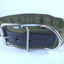 COLLAR DE NYLON CON PIEL (varios colores) - SILVERADO