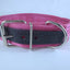 COLLAR DE NYLON CON PIEL (varios colores) - SILVERADO