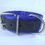 COLLAR DE NYLON CON PIEL (varios colores) - SILVERADO