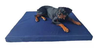 CAMA GAMBITO AZUL FANCYPETS