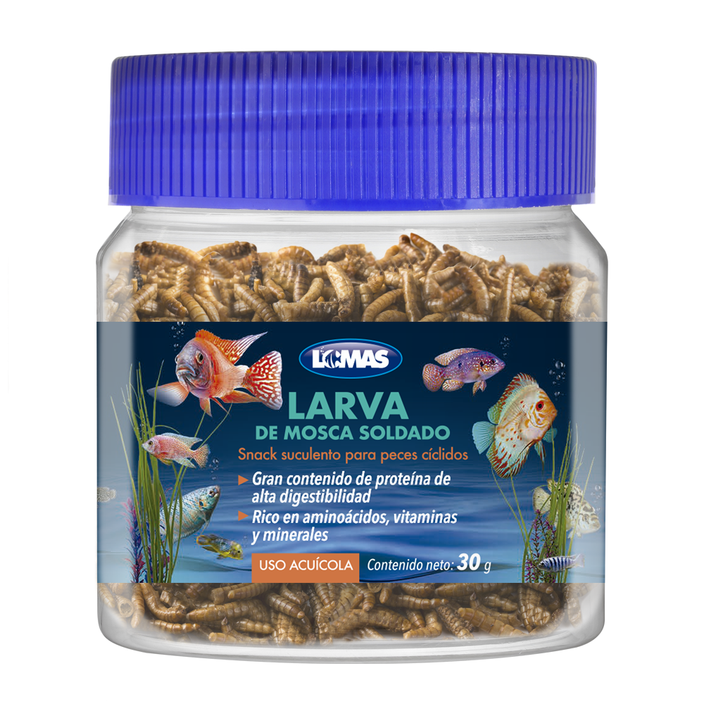 LOMAS LARVA DE MOSCA SOLDADO 30 GR.