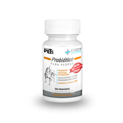 MS PROBIOTICO P/PERROS 90 G