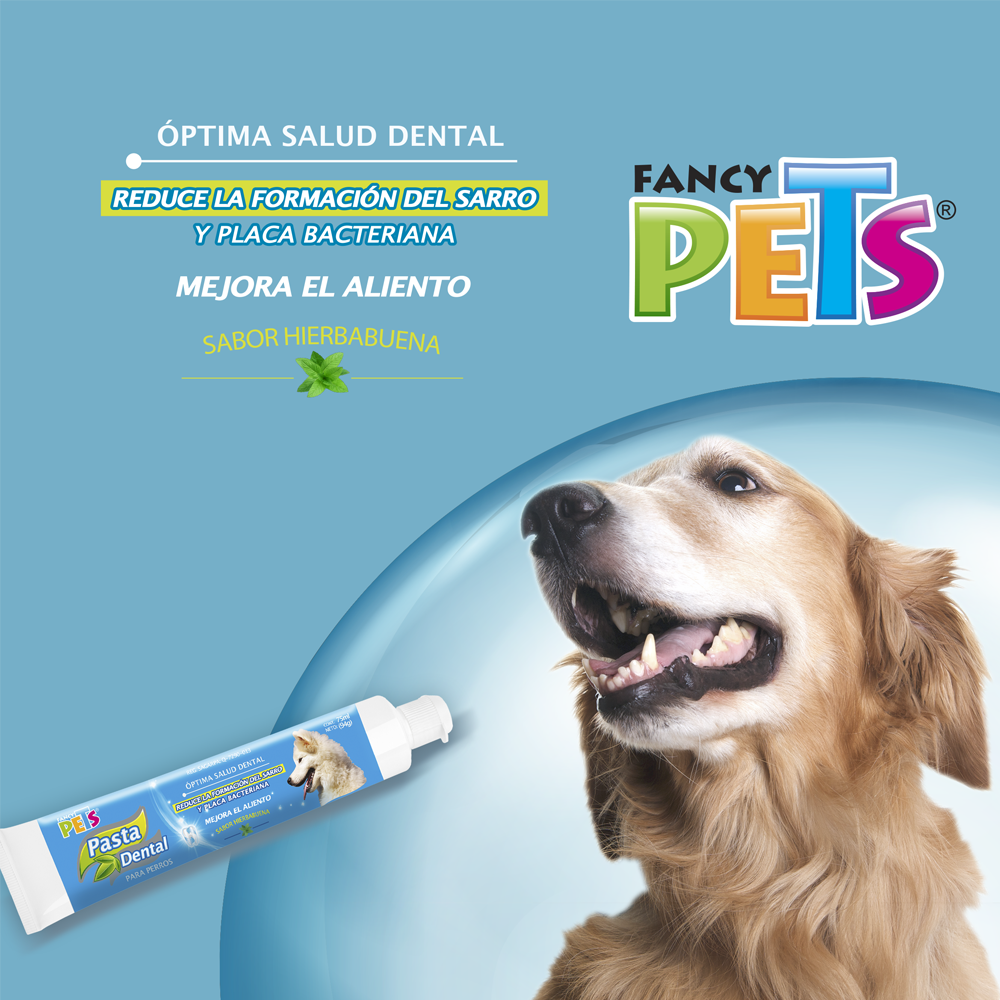 PASTA DENTAL 90 G