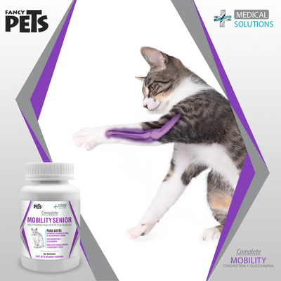 MS COMPLETE MOBILITY SENIOR P/GATOS - 60 TAB