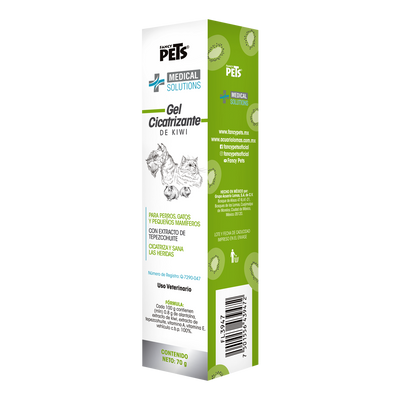 MS GEL CICATRIZANTE DE KIWI 70 GRS