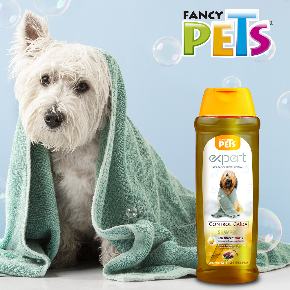 SHAMPOO CONTROL CAIDA EXPERT 500 ML.