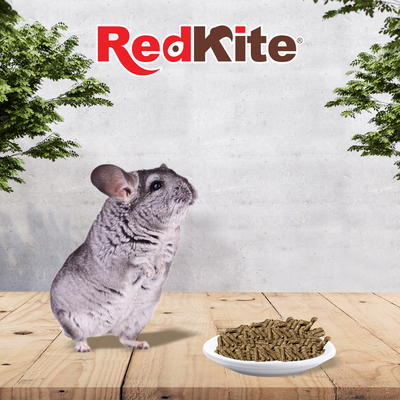 REDKITE ALIMENTO P/CHINCHILLA 1 KG