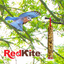 BARRITA DE SEMILLAS P/CANARIOS Y FINCHES - 2 PZ