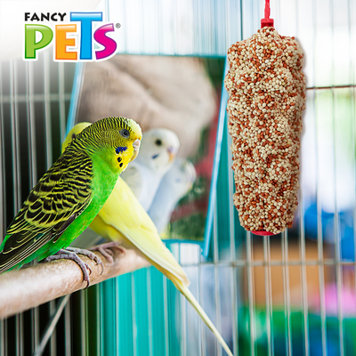 BARRITA DE MIJO P/AVES - 1 PZ