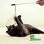 JUGUETE PESCADO P/GATO ECOPLAY