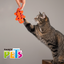 JUGUETE SALAMANDRA SOUND FANCY PETS