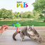 JUGUETE HULE DE PEZ FANCY PETS