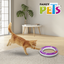 JUGUETE CIRCUITO PLAY FANCY PETS