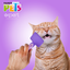 CEPILLO C/PUNTAS REDONDEADAS EXPERT FANCY PETS