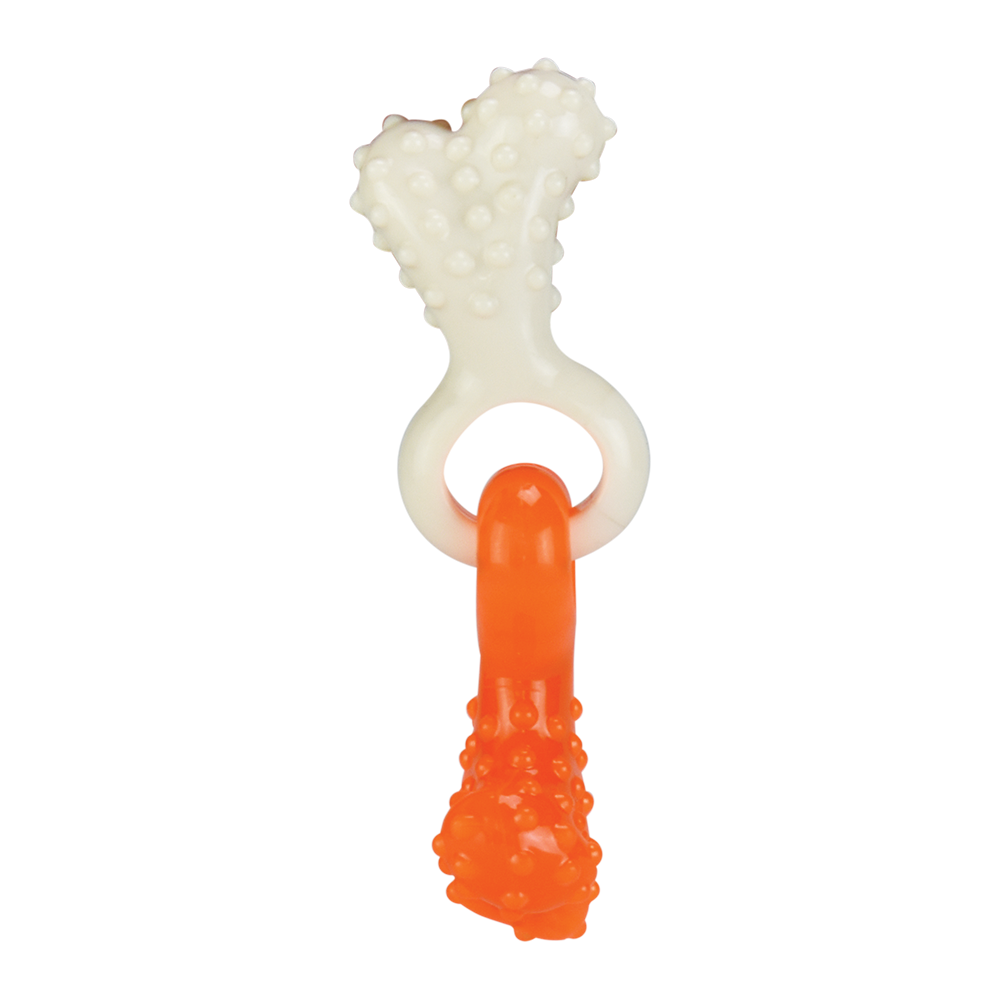 JUGUETE DENTAL HUESO ENTRELAZADO FANCY PETS