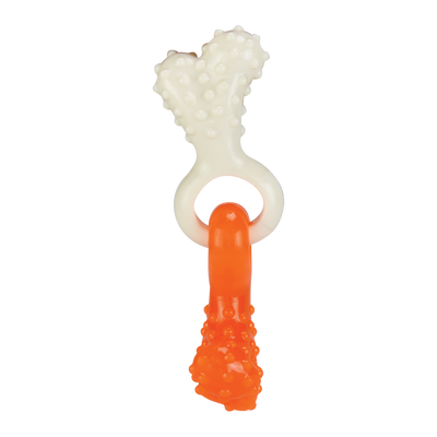 JUGUETE DENTAL HUESO ENTRELAZADO FANCY PETS