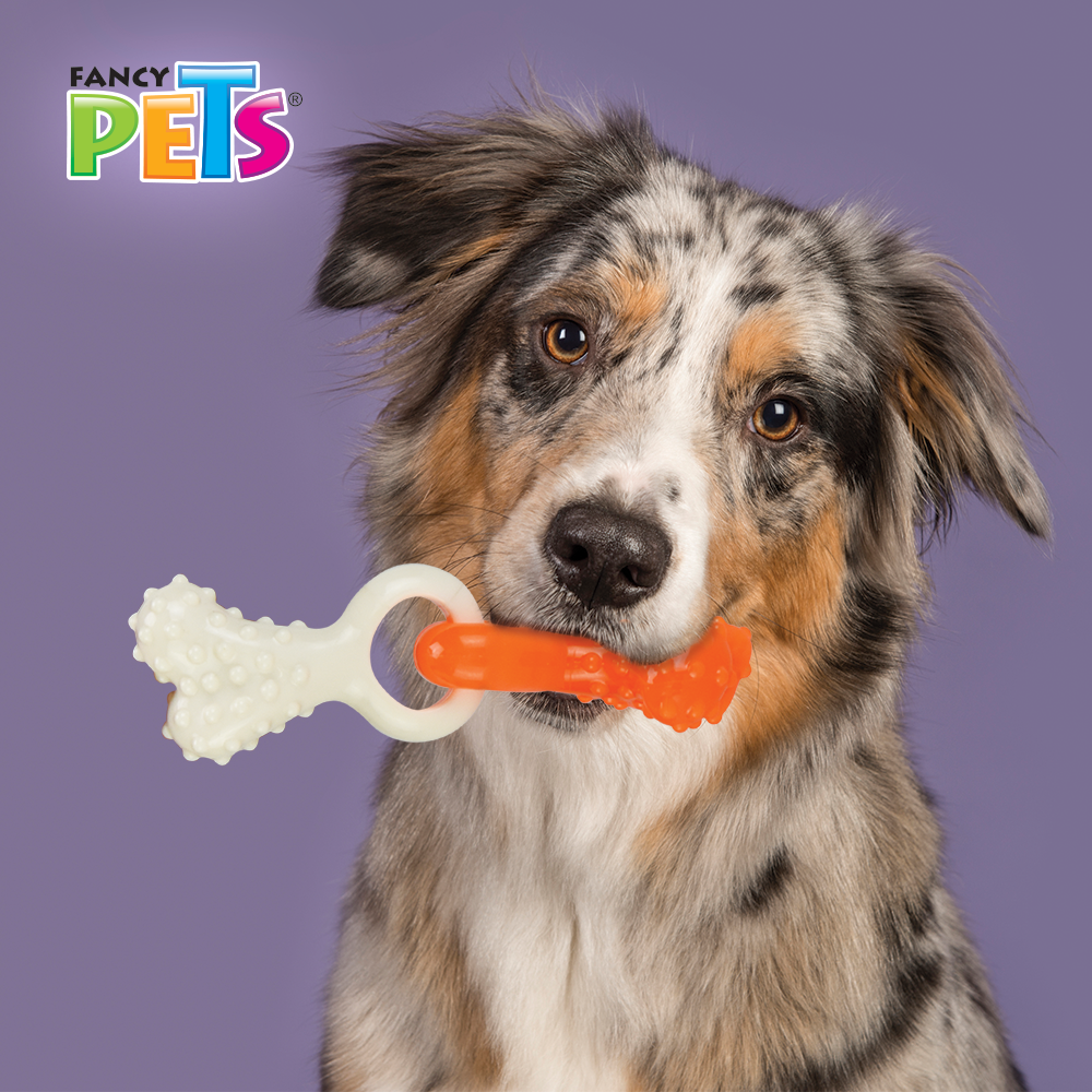 JUGUETE DENTAL HUESO ENTRELAZADO FANCY PETS