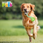 JUGUETE ESLABON C/CUERDA PULL FANCY PETS