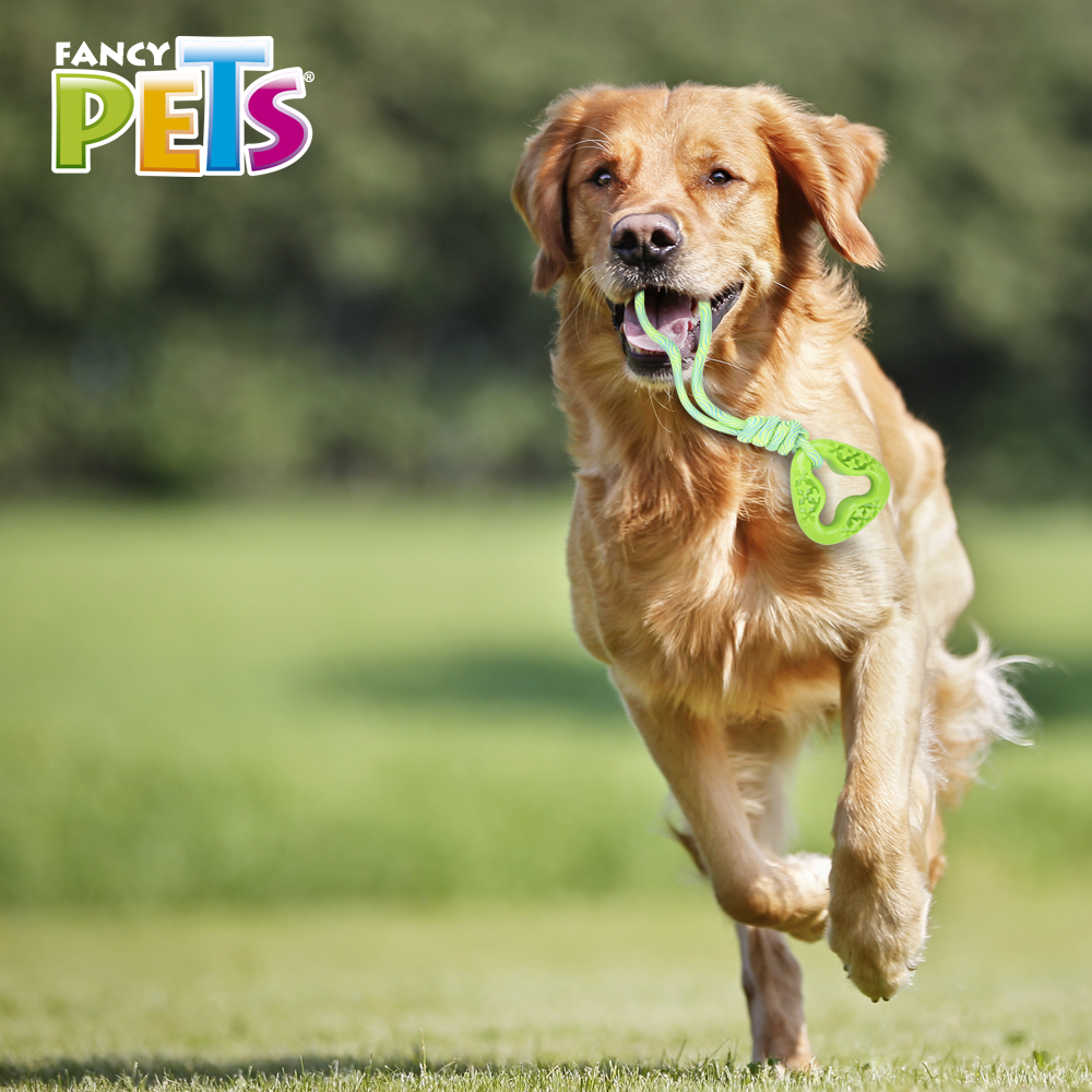 JUGUETE ESLABON C/CUERDA PULL FANCY PETS
