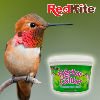 NECTAR EN POLVO P/COLIBRI 400 G REDKITE