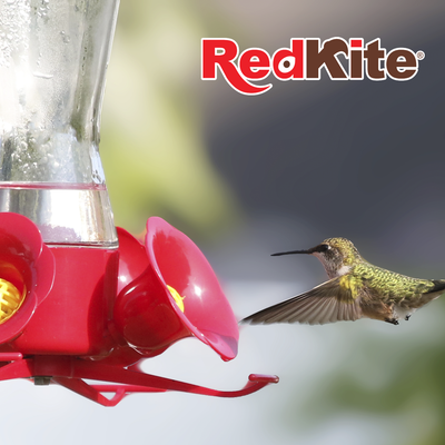 NECTAR LIQUIDO P/COLIBRIS 1.5 L SIN COLORANTE REDKITE