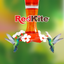 BEBEDERO DE VIDRIO P/COLIBRI 590 ML REDKITE